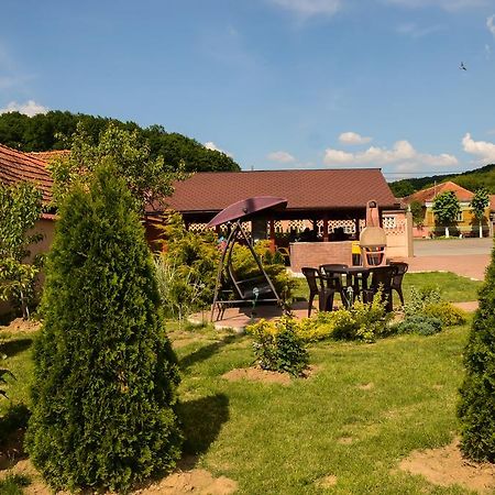 Pensiunea Anca Băile Felix Exteriér fotografie